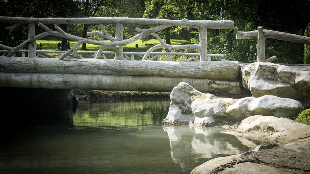 Pont rustique